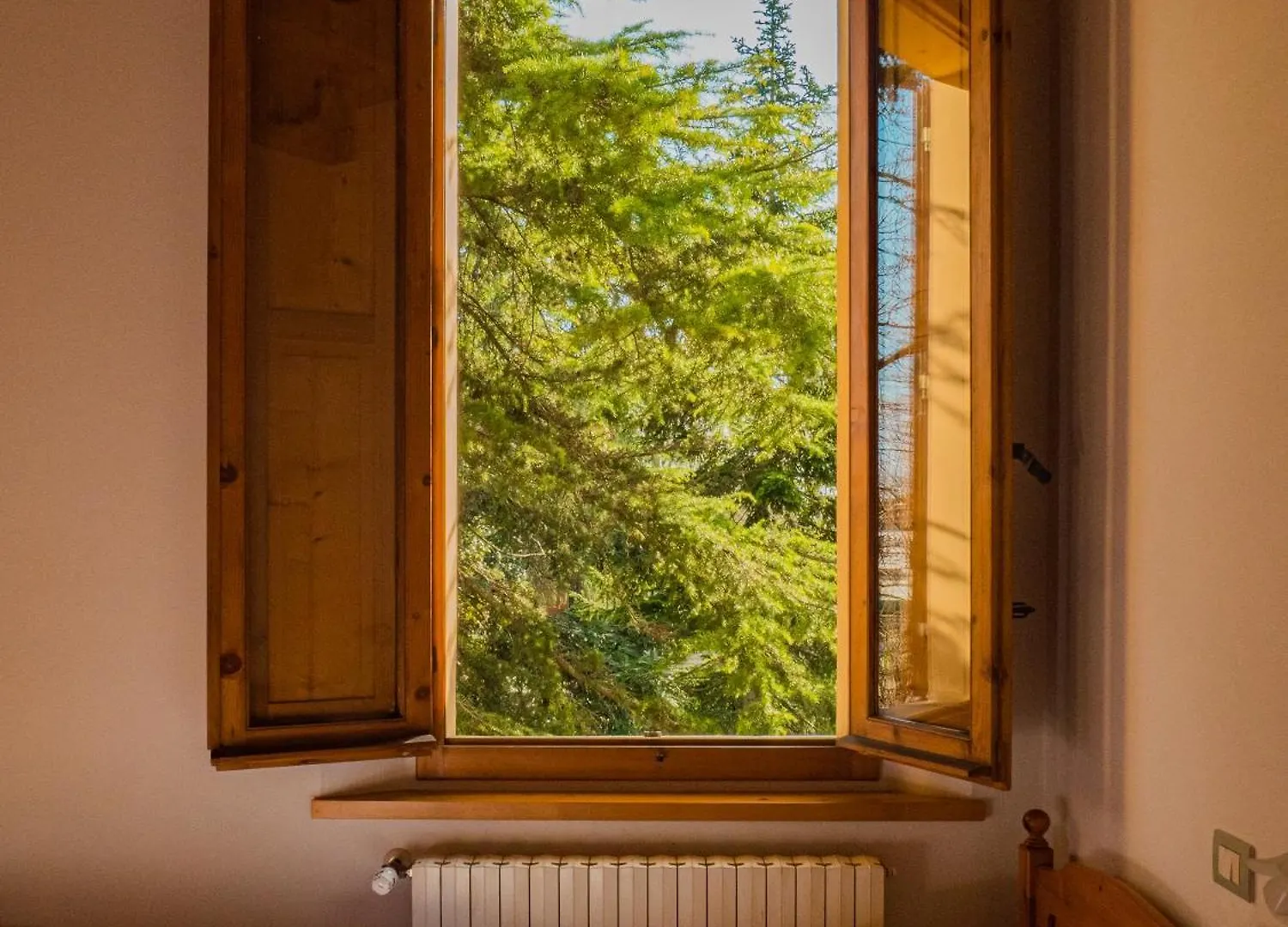 Bed & Breakfast B&B Villa Erika Lugo  Italia